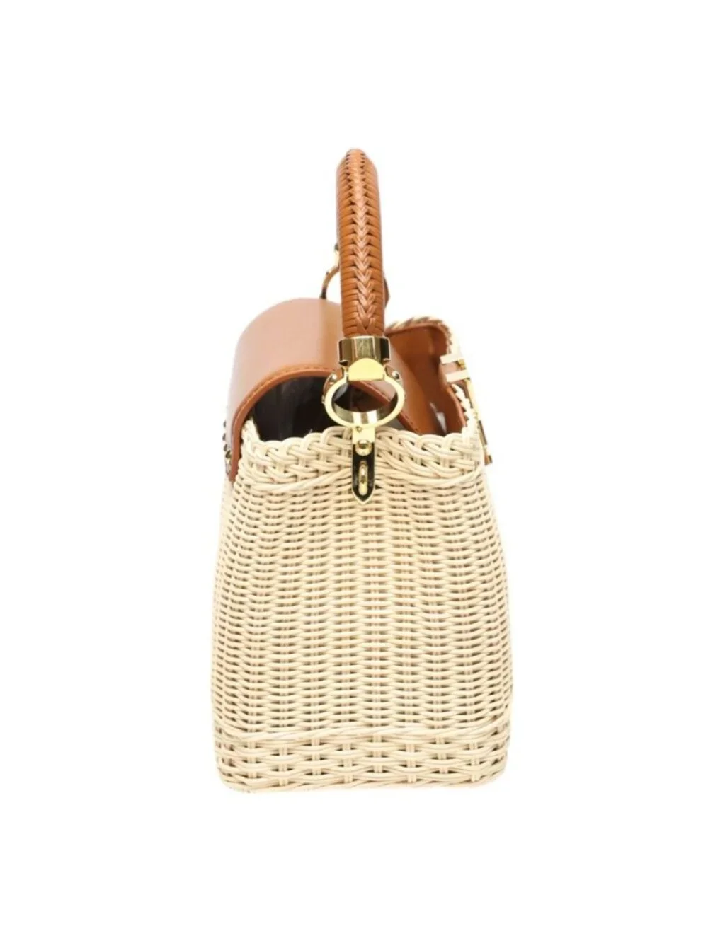 Louis Vuitton brand louis